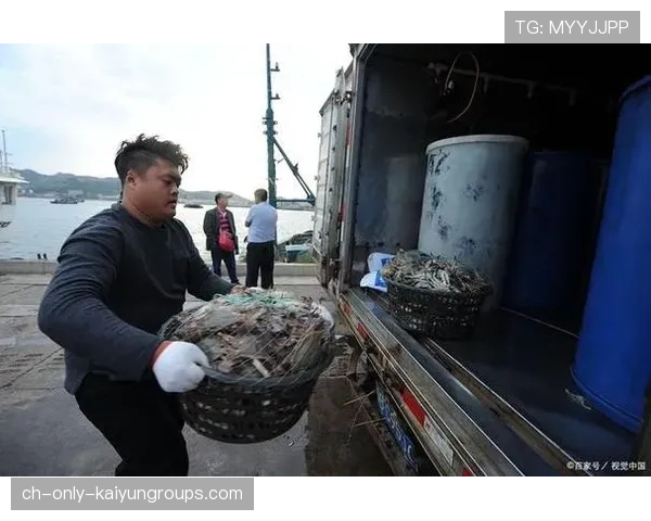 台风过境带来海鲜盛宴,惠州生态亮眼,台风惠州受影响不 台风过境带来海鲜盛宴,惠州生态亮眼,台风惠州受影响不